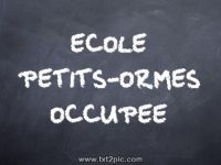 Ecorlepetitsormesoccupee
