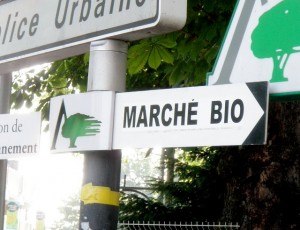 MarcheBio MarcheBio