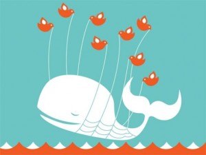article_whale