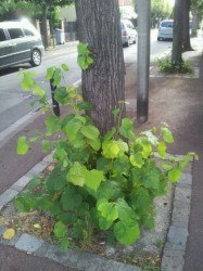 image_proprete