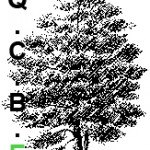 logo-QCBE2