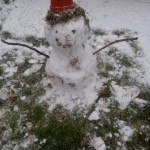wpid-IMG_20130225_081929.jpg